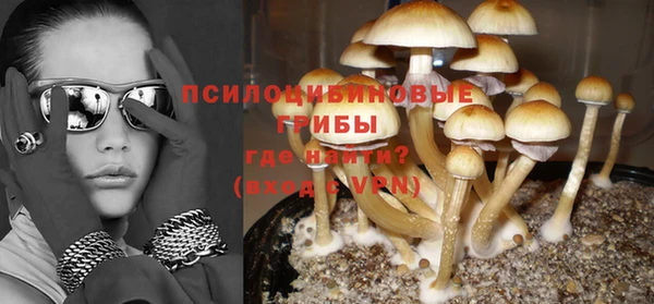 эйфоретик Абинск