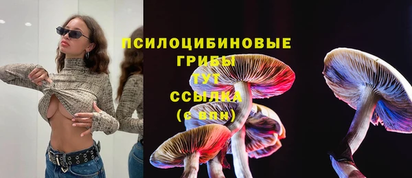 дурь Абдулино